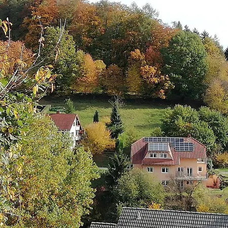 Gorxheimertal 92Qm Allergikerfreundlich 2 Schlafzimmer 2 Wc Terrasse Zewnętrze zdjęcie