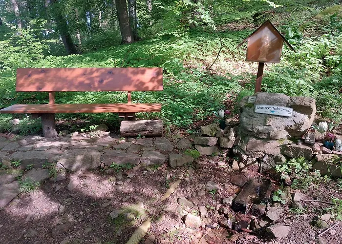 Gorxheimertal 92Qm Allergikerfreundlich 2 Schlafzimmer 2 Wc Terrasse