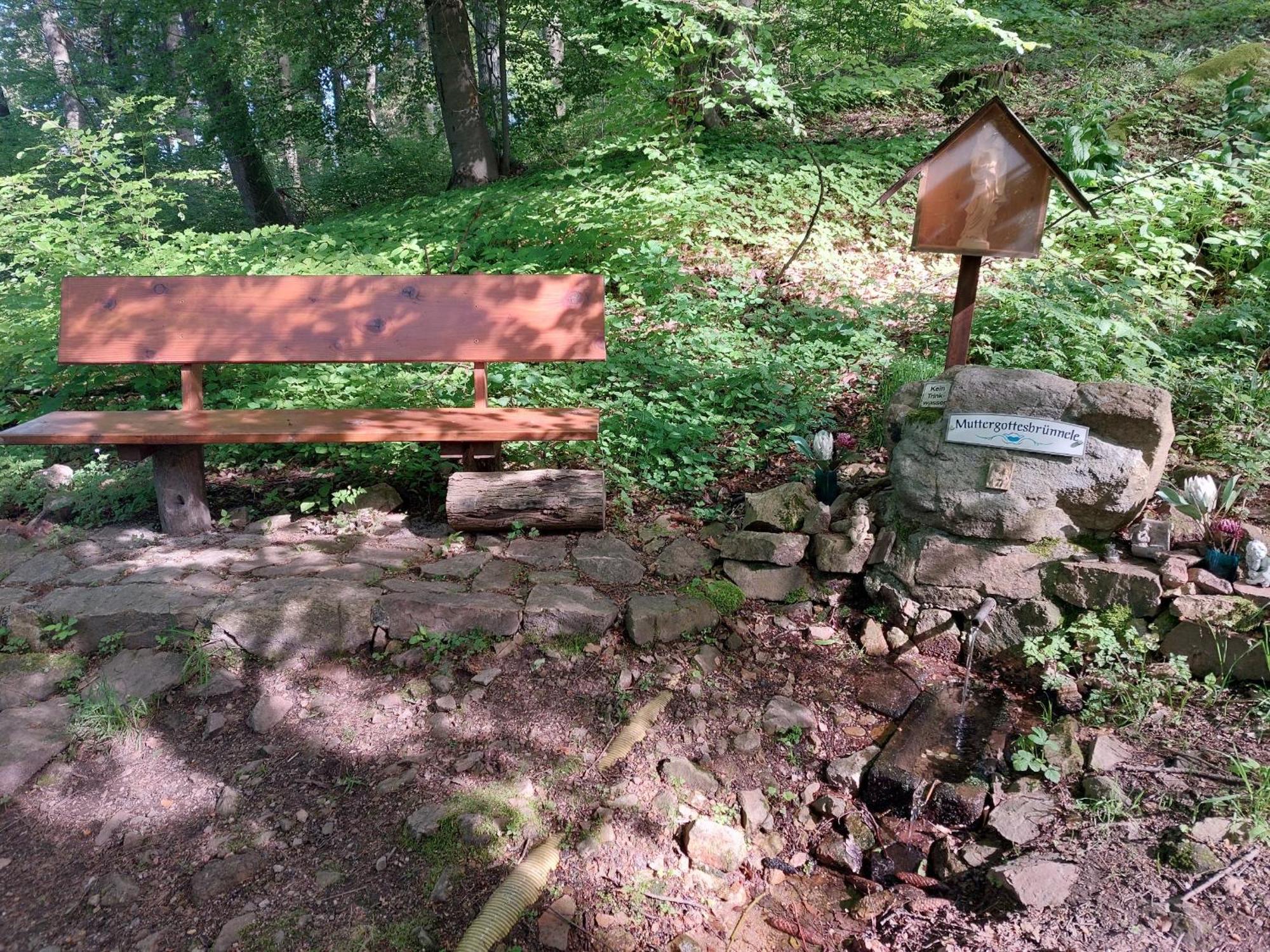 92qm Allergikerfreundlich 2 Schlafzimmer 2 Wc Terrasse * Gorxheimertal