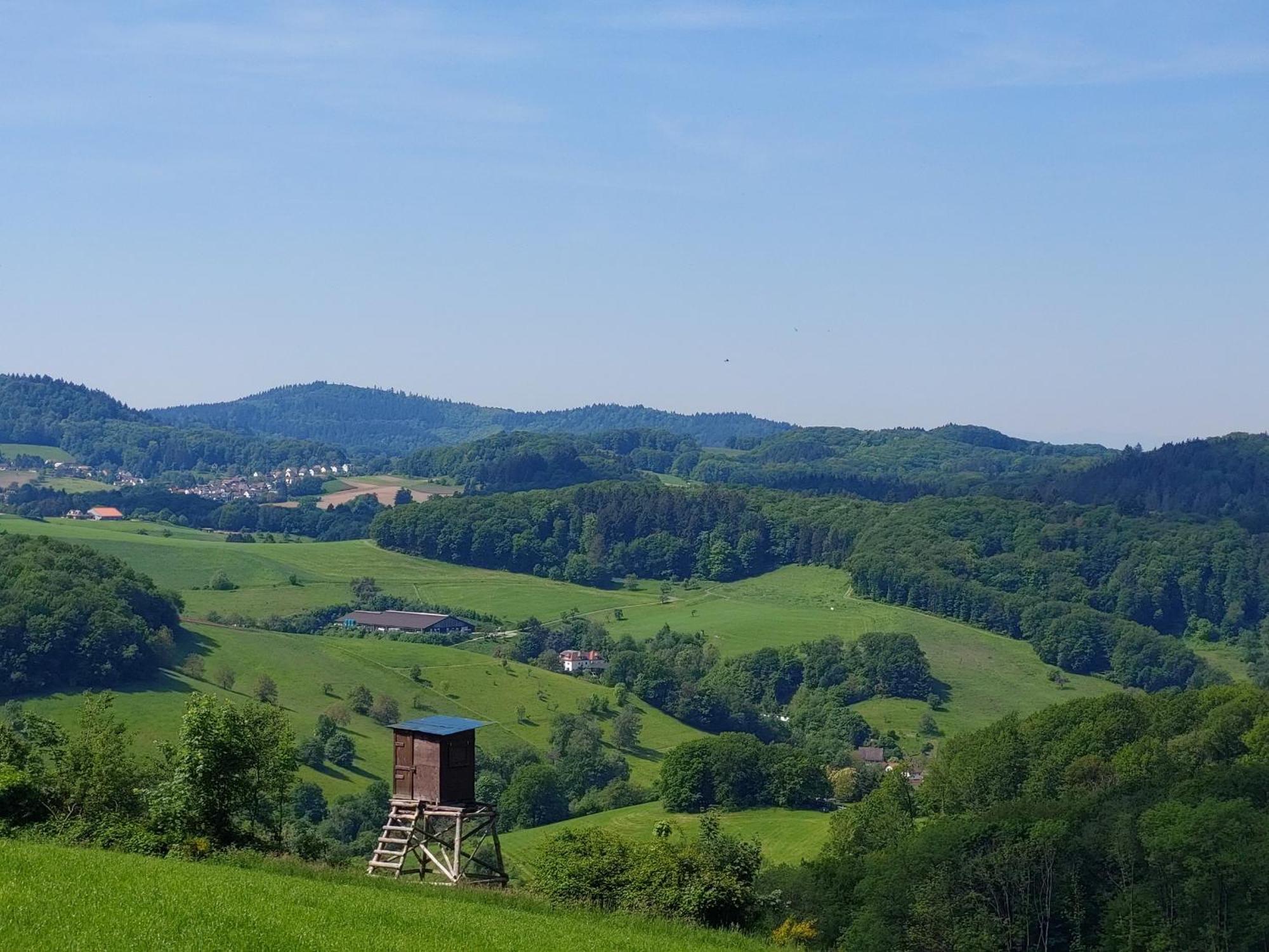 92qm Allergikerfreundlich 2 Schlafzimmer 2 Wc Terrasse Apartment Gorxheimertal